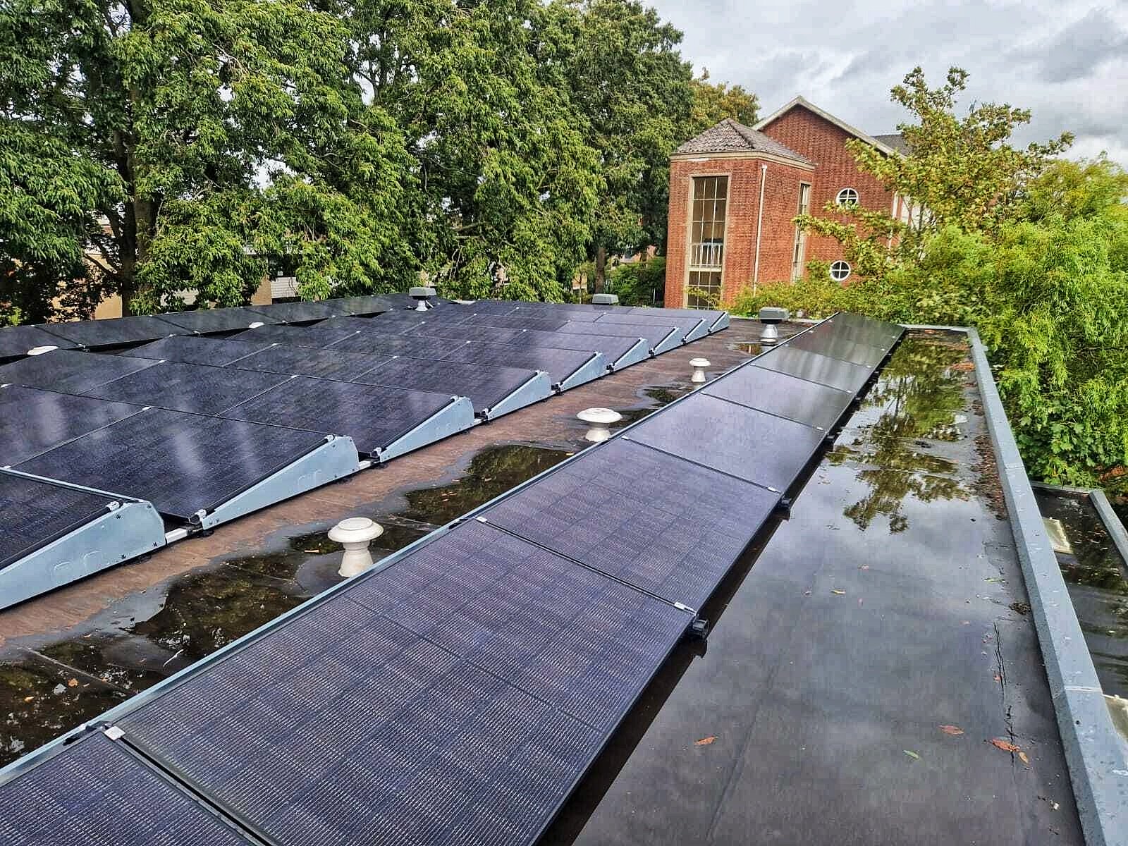 Zonnepanelen op plat dak in bosrijke omgeving