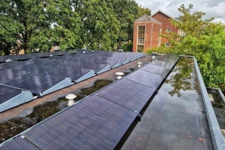 Zonnepanelen op plat dak in bosrijke omgeving